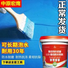 國標(biāo)JS防水涂料防水膠滲水裂縫防水堵漏王衛(wèi)生間廚房?jī)?nèi)外墻堵漏膠